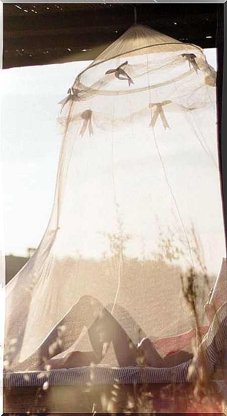 mosquito net