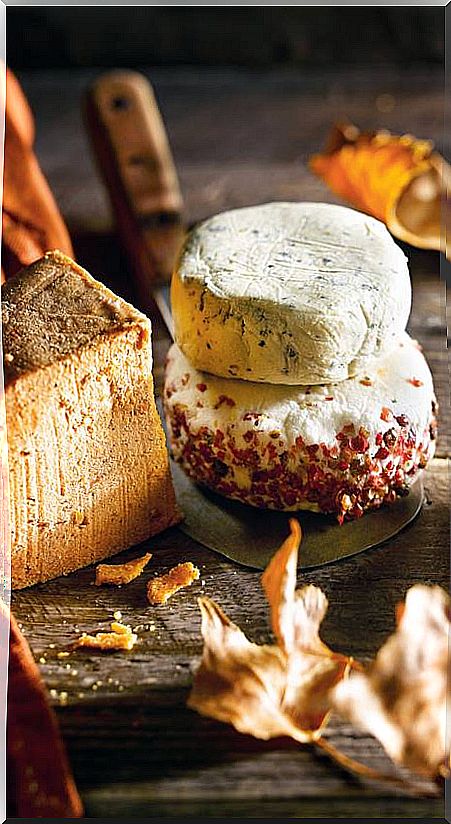 Raw cheeses and breads