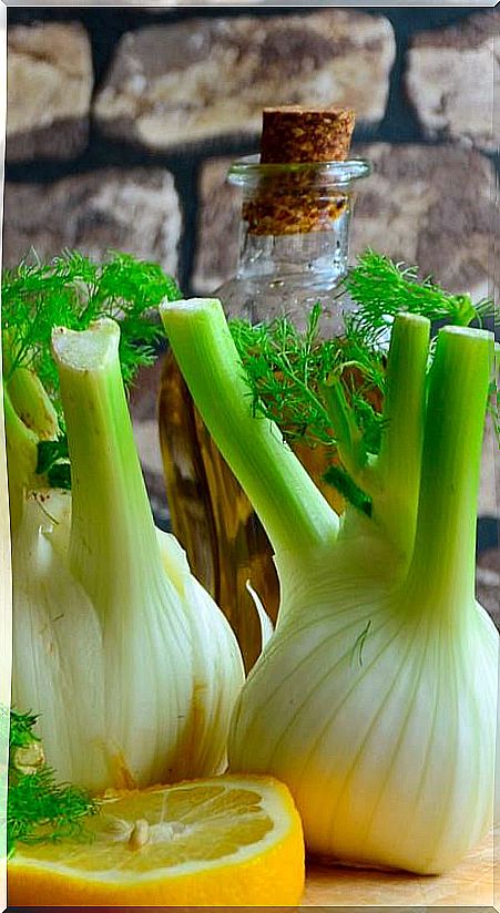 fennel