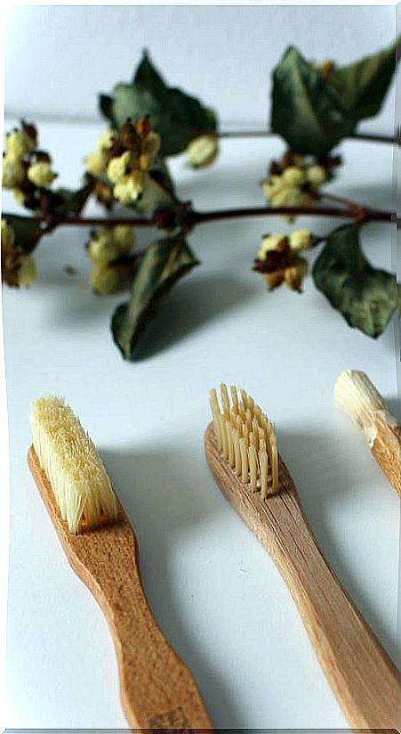 Natural toothbrushes