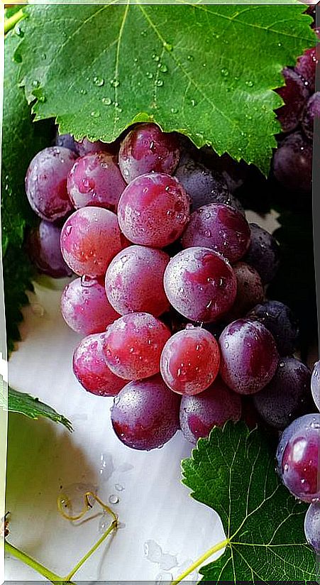 Red grapes