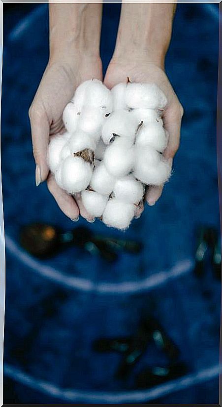 Woman with cotton plants in hands